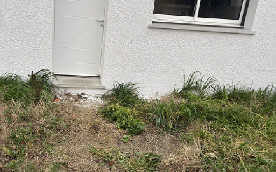 Façade de maison à réaménager avec jardin négligé, intervention paysagiste ferrai aménagement à Carcassonne